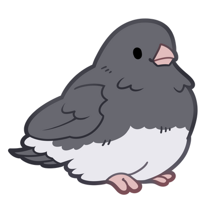 Junco Sticker