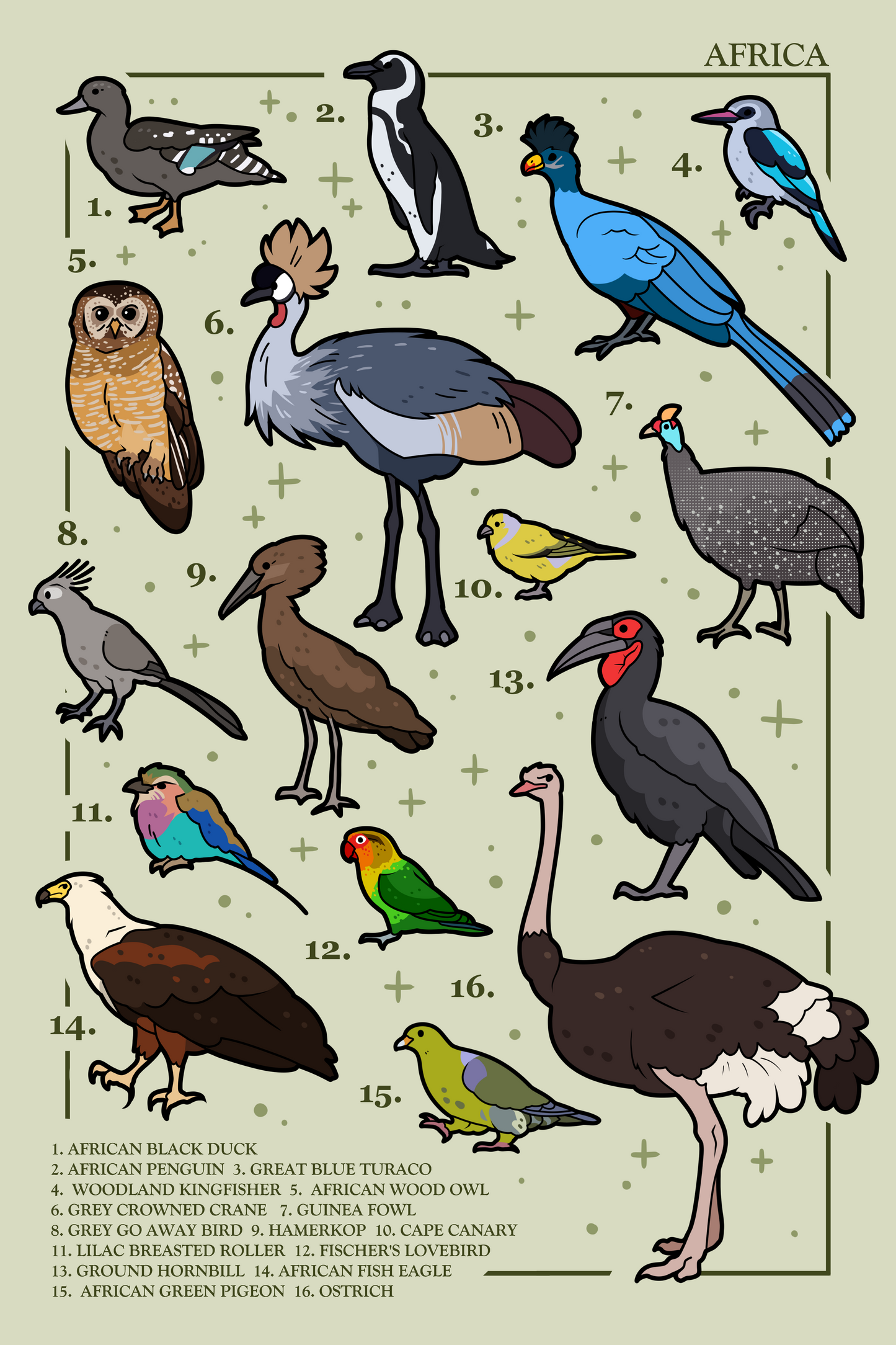 Birds of Africa Poster