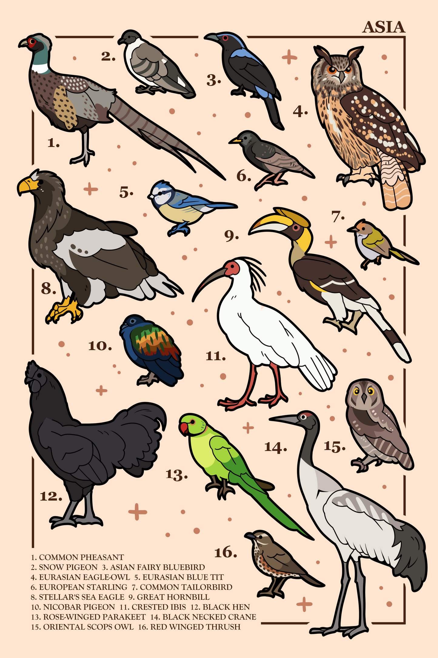 Birds of Asia Poster