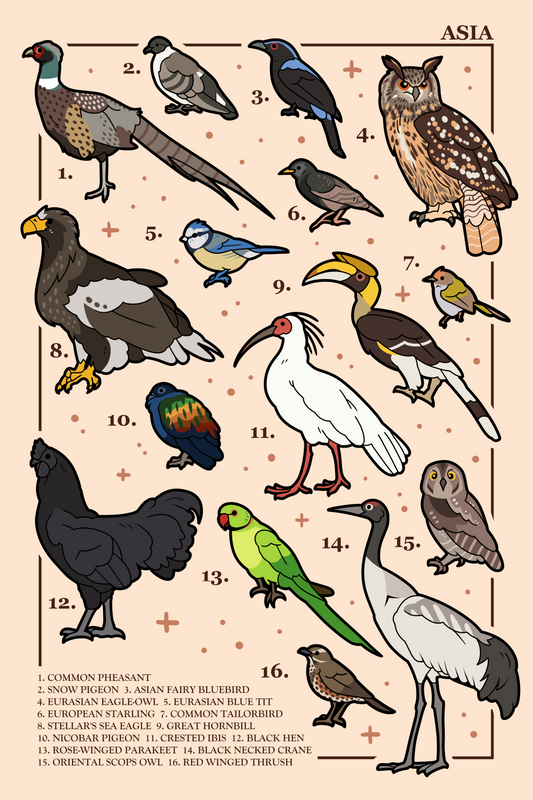 Birds of Asia Poster