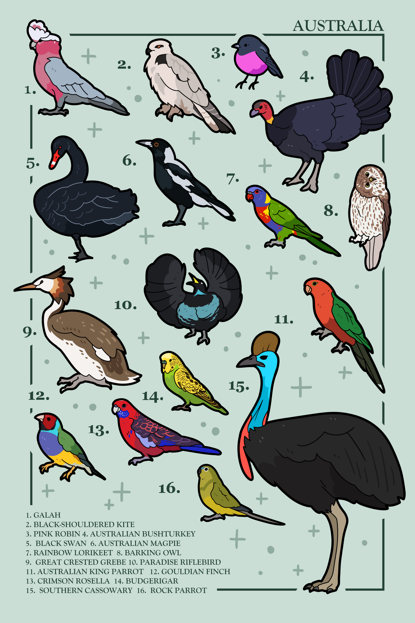 Birds of Australia Poster